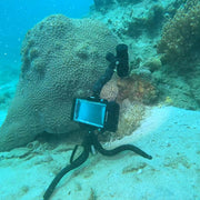 DIVEVOLK Fixable Arm with Cold Shoe and Ball Head