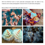 DIVEVOLK Underwater +8 Close-up Wet Lens