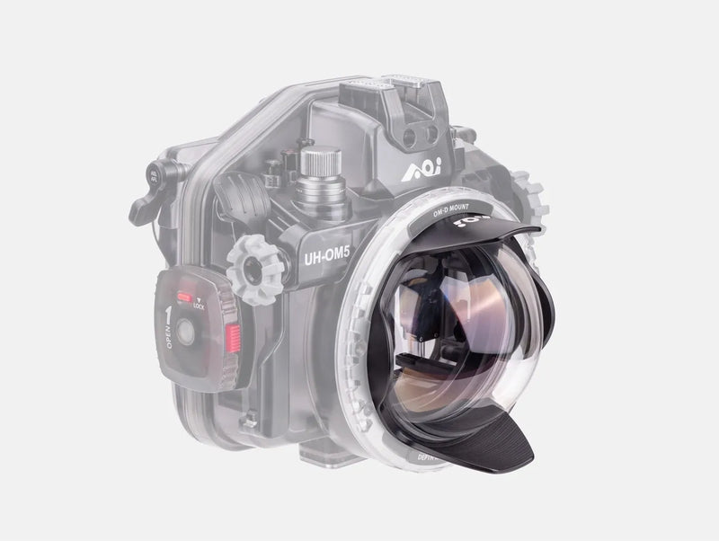 AOI 4" Glass Dome Port for OMD Mount Housing