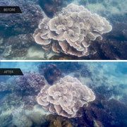 DIVEVOLK Underwater Wide-angle Conversion Lens X0.6