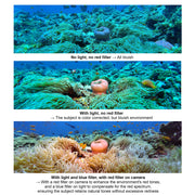 DIVEVOLK Ambient Blue Light Filter