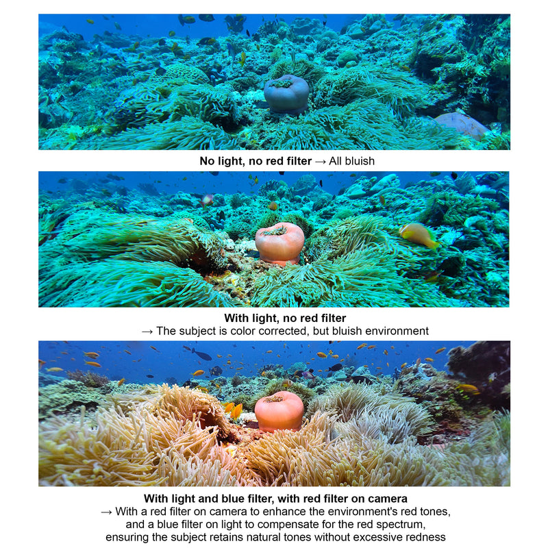 DIVEVOLK Ambient Blue Light Filter
