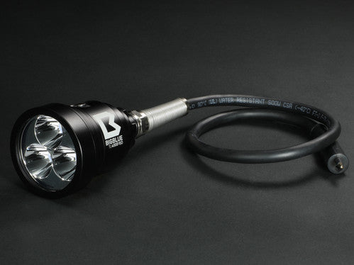 BigBlue TL4000P EO Light Head