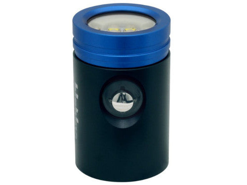 BigBlue Black Molly VIIB - Light Head