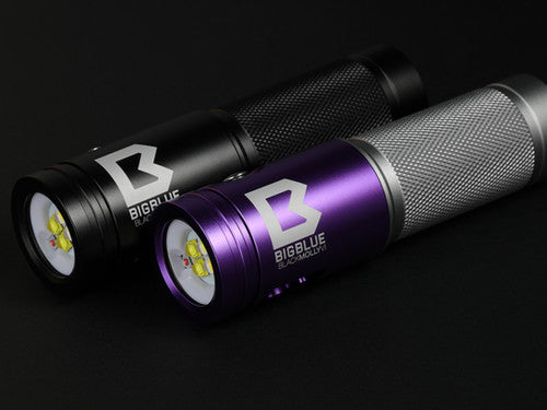 BigBlue Black Molly VI