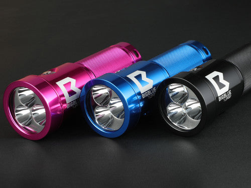 BigBlue TL2900P