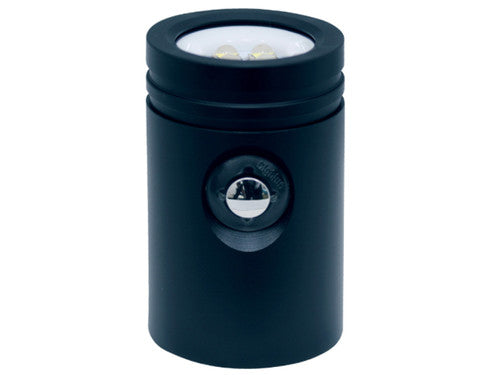 BigBlue Black Molly VI – Light Head