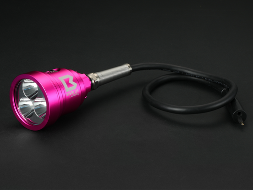 BigBlue TL4000P EO Light Head
