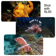 DIVEVOLK SL50 Professional Underwater Video Light 5600 Lumens