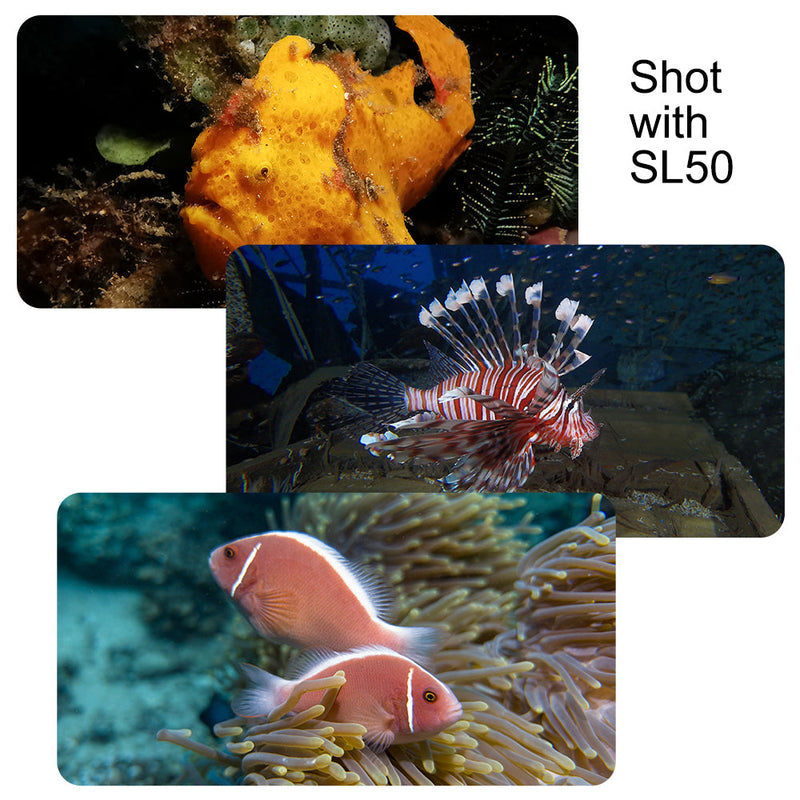 DIVEVOLK SL50 Professional Underwater Video Light 5600 Lumens
